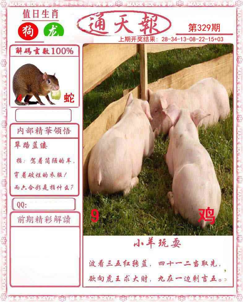 2025329期：通天报解码，描绘2025新澳门天天开好彩大乐透号码玄机:特码四五不用查;解析2025新澳天天正版免费5肖10码：【鼠龙马猴鸡,1-4-6-8-22-24-33-35-38-47】