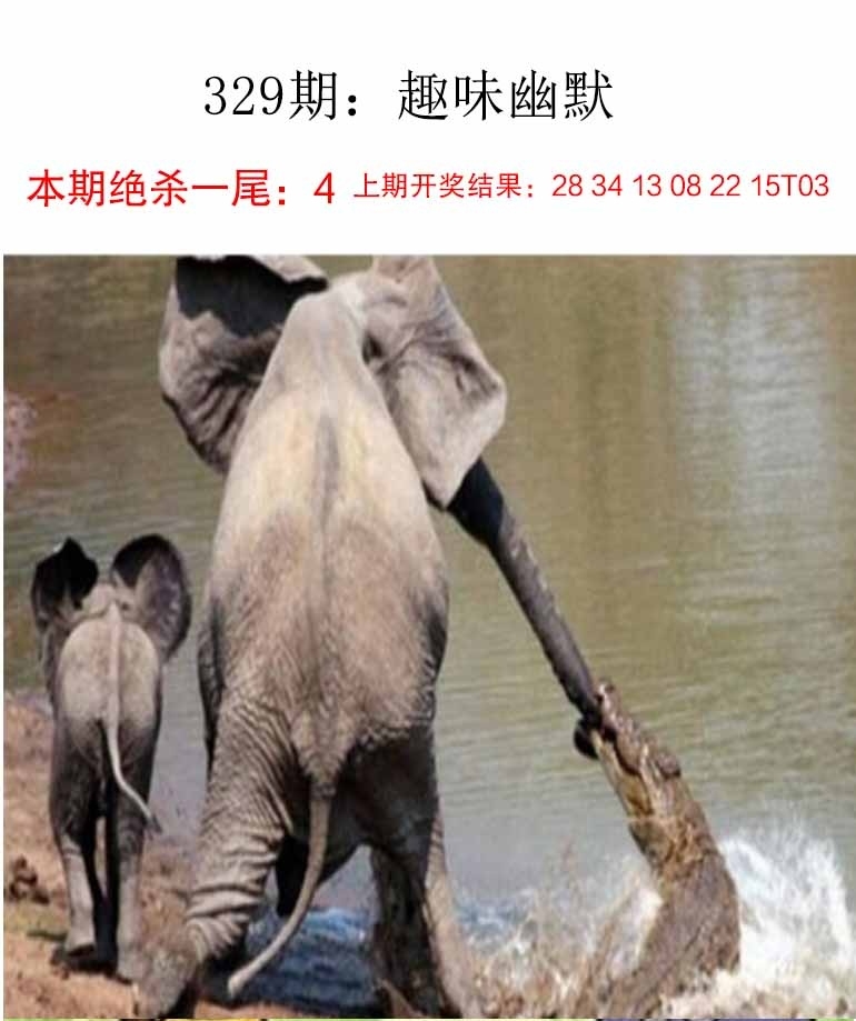 2025329期：新趣味幽默，描绘2025最新资料免费玄机:特码四五不用查;解析2025最新资料大全免费下载5肖10码：【鼠龙马猴鸡,1-4-6-8-22-24-33-35-38-47】