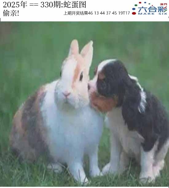 2025330期：澳门蛇蛋图，描绘2025新澳门天天精准谜语玄机:红波看好中本期;解析2025新澳门历史记录查询3肖6码：【牛马狗,1-4-5-27-30-43】