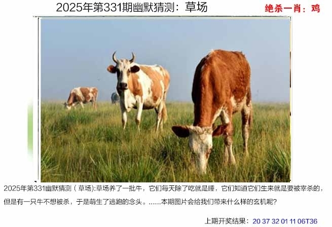 2025331期：澳幽默猜测，描绘2025年港澳免费看资料玄机:金幅夫人找管家，一七今期选特码;解析2025新澳门彩开将结果6肖12码：【虎蛇马羊鸡狗,1-5-9-10-18-24-28-34-35-38-48-49】