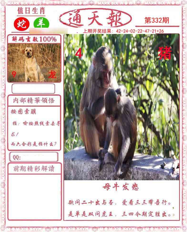 2025332期：正版通天报，描绘2025最新正版资料免费玄机:荣华富贵今中事;解析2025新澳正版资科大全5肖10码：【虎蛇马猴猪,2-3-7-9-13-25-29-37-42-46】