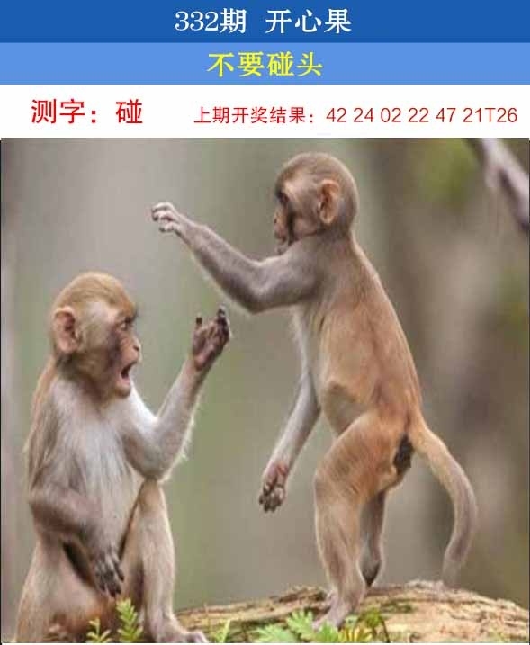 2025332期：开心果先锋，描绘2025新澳开奖结果了玄机:荣华富贵今中事;解析2025新澳门彩开将结果5肖10码：【虎蛇马猴猪,2-3-7-9-13-25-29-37-42-46】