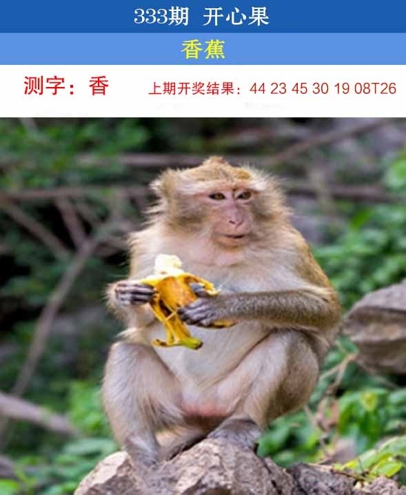 2025333期：开心果先锋，描绘2025新澳开奖结果了玄机:获取奖来一生禄;解析2025新澳门彩开将结果3肖6码：【虎马鸡,11-12-15-29-33-42】