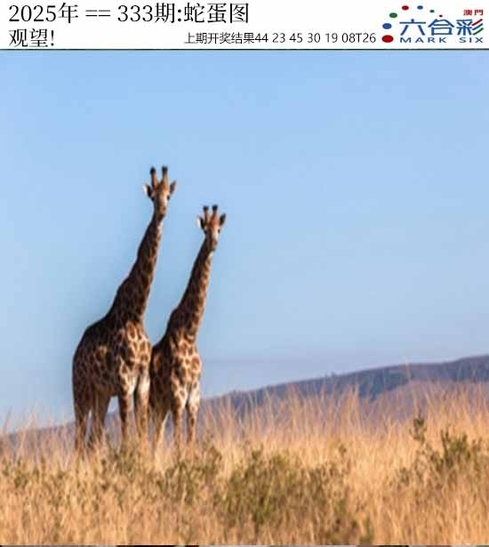 2025333期：澳门蛇蛋图，描绘2025新澳门天天精准谜语玄机:获取奖来一生禄;解析2025新澳门历史记录查询3肖6码：【虎马鸡,11-12-15-29-33-42】