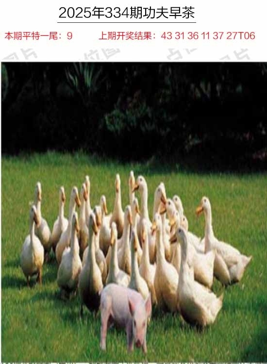2025334期：功夫早茶图，描绘2025年天天资料免费玄机:羊兔马虎找特码;解析2025年天天精准大全4肖8码：【兔蛇羊猴,2-8-10-19-20-21-26-32】