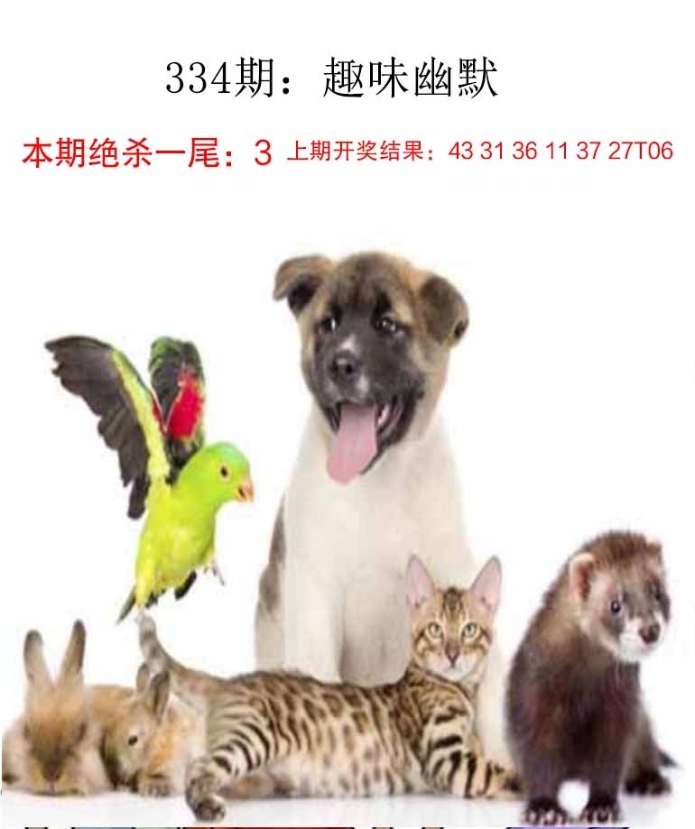 2025334期：新趣味幽默，描绘2025最新资料免费玄机:羊兔马虎找特码;解析2025最新资料大全免费下载4肖8码：【兔蛇羊猴,2-8-10-19-20-21-26-32】