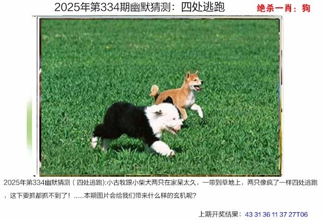 2025334期：澳幽默猜测，描绘2025年港澳免费看资料玄机:羊兔马虎找特码;解析2025新澳门彩开将结果4肖8码：【兔蛇羊猴,2-8-10-19-20-21-26-32】